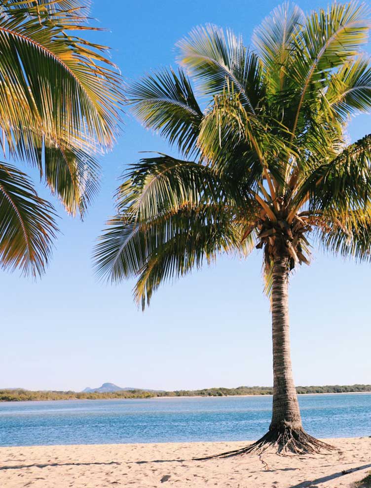 Maroochydore Management Rights