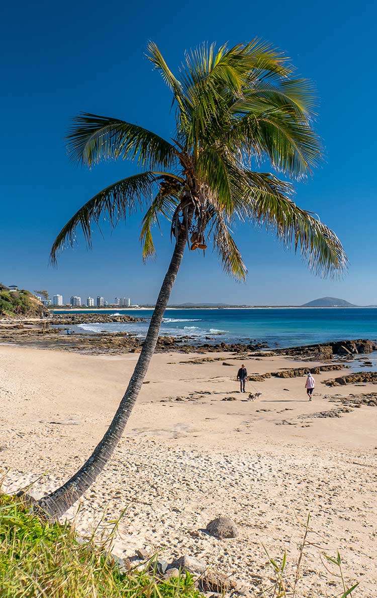 Mooloolaba Management Rights